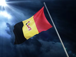 bet365线上投注 -足协杯四强战对决在即！曼联演练定位球，丹佛掘金密集防守应对